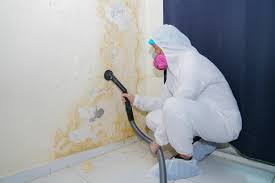 Best Mold Prevention Services  in Spokane, WA